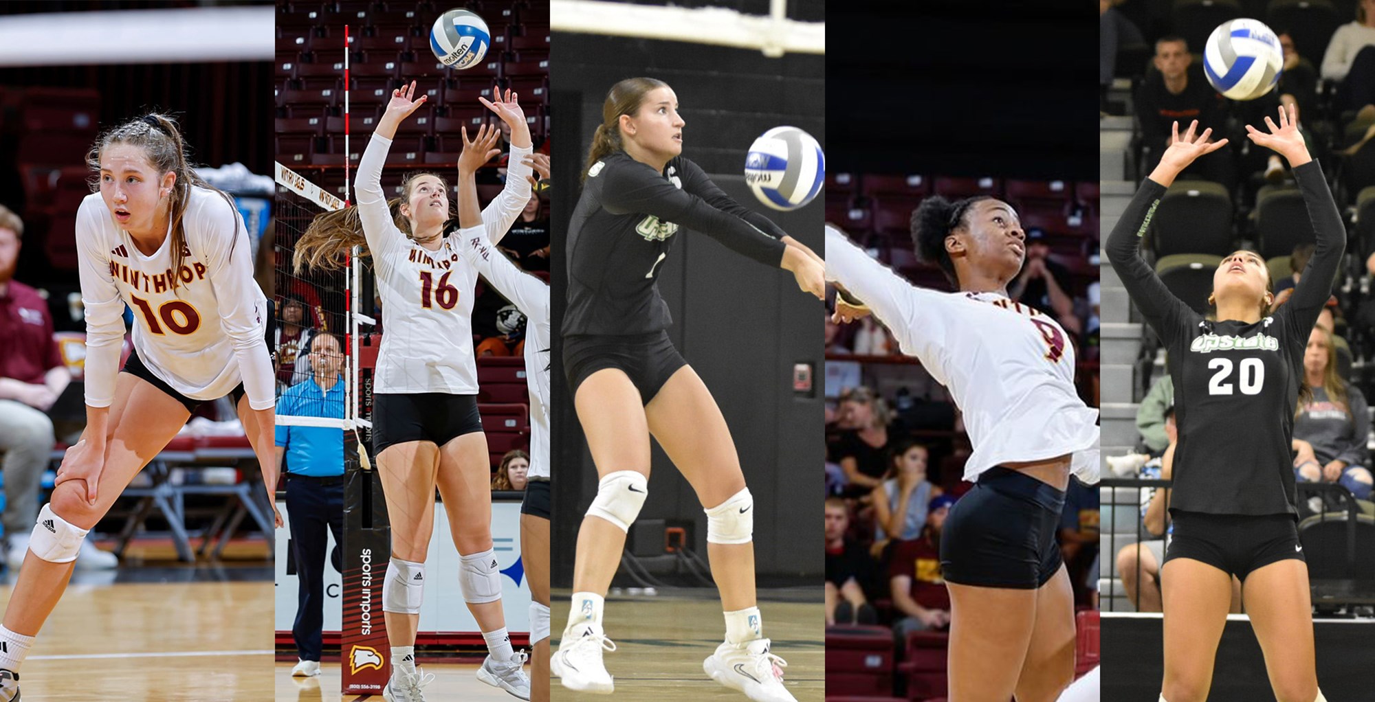 Big South Announces Volleyball Players of the Week - Nov. 11