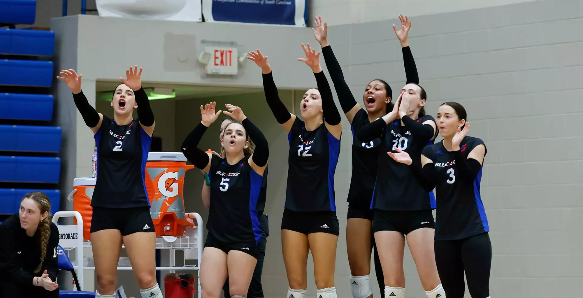 Big South Volleyball Summary - Nov. 15