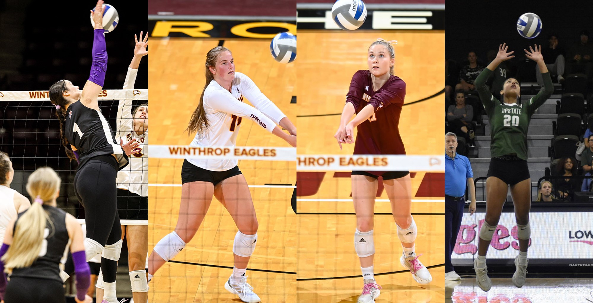 Big South Announces Volleyball Players of the Week - Nov. 18