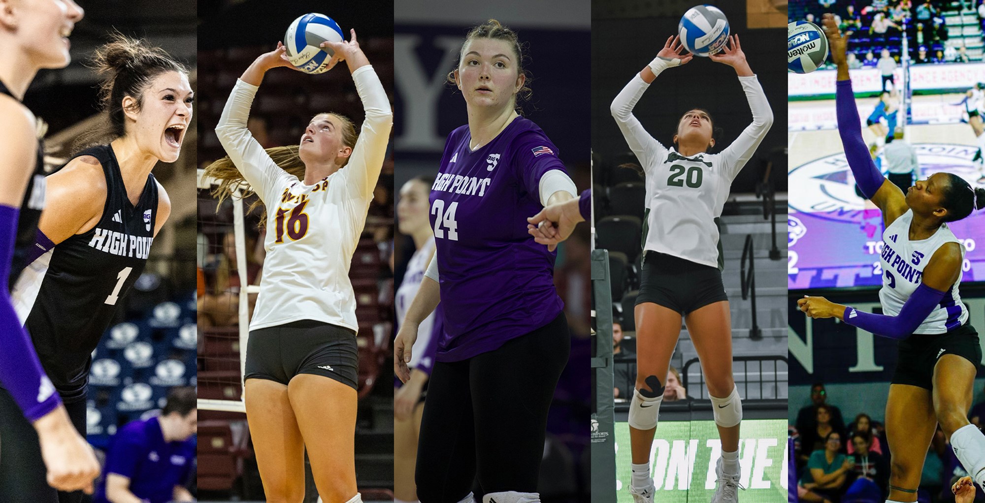 Big South Announces 2024 Volleyball Annual Award Winners