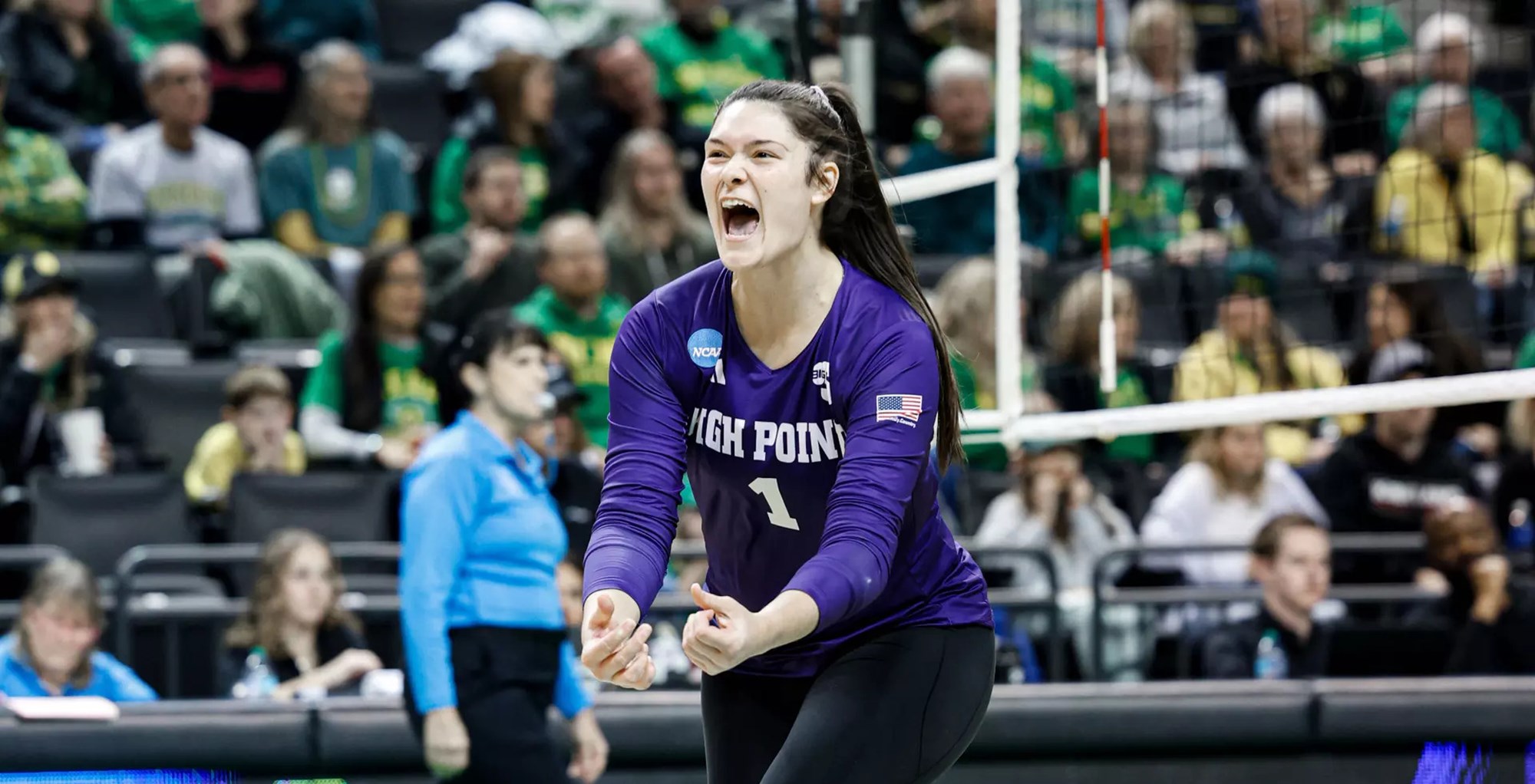 High Point's Dylan Maberry Named AVCA East All-Region Honorable Mention