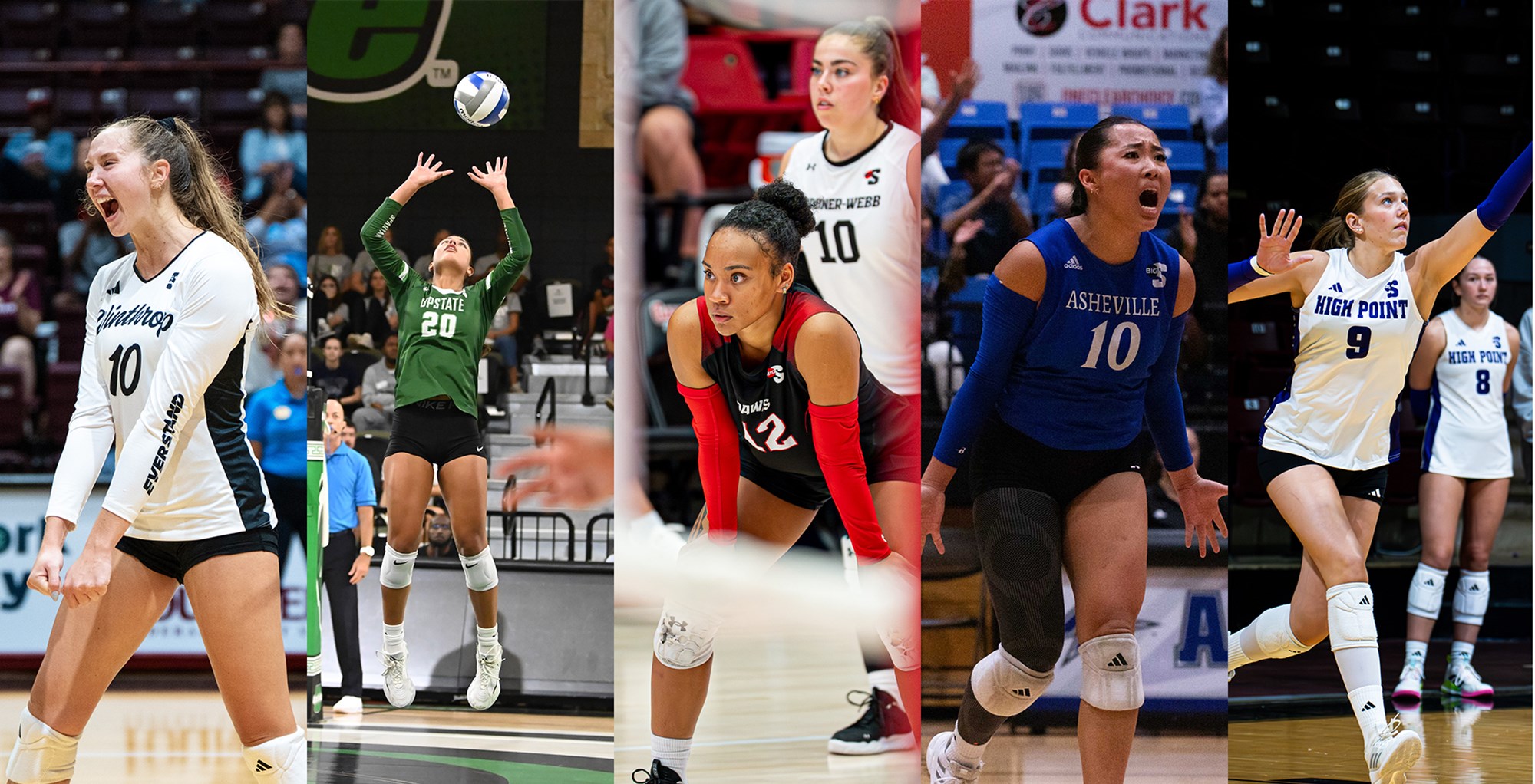 Big South Announces 2025 Volleyball Annual Award Winners