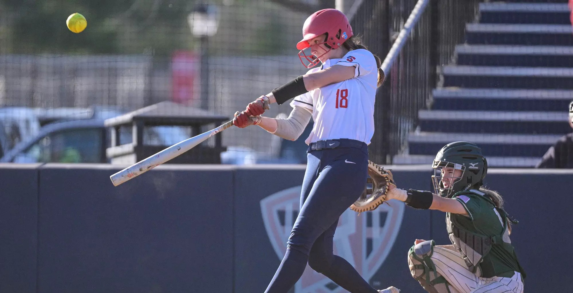Big South Softball Summary - March 28