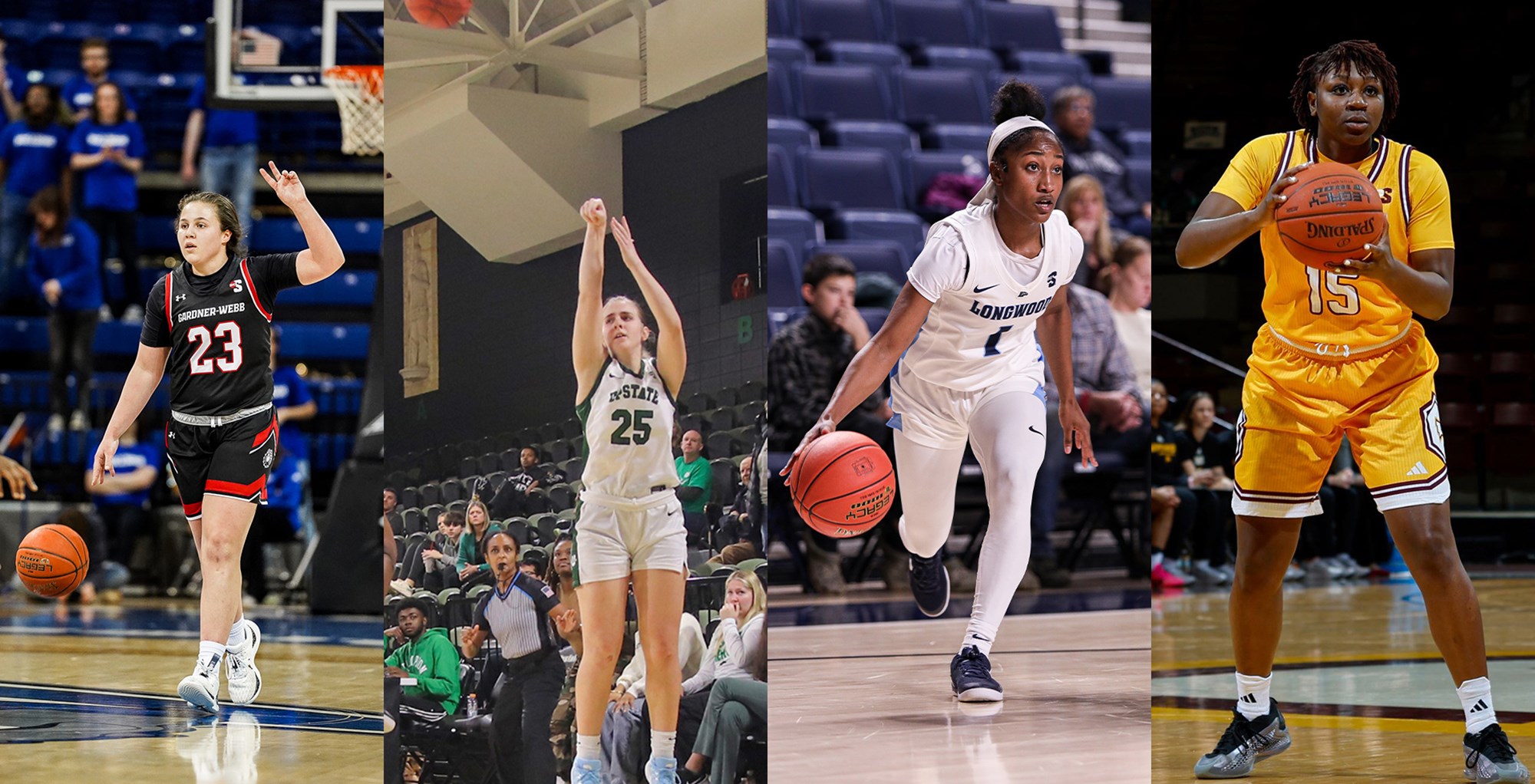Big South Announces 2024-25 Women's Basketball Annual Award Winners