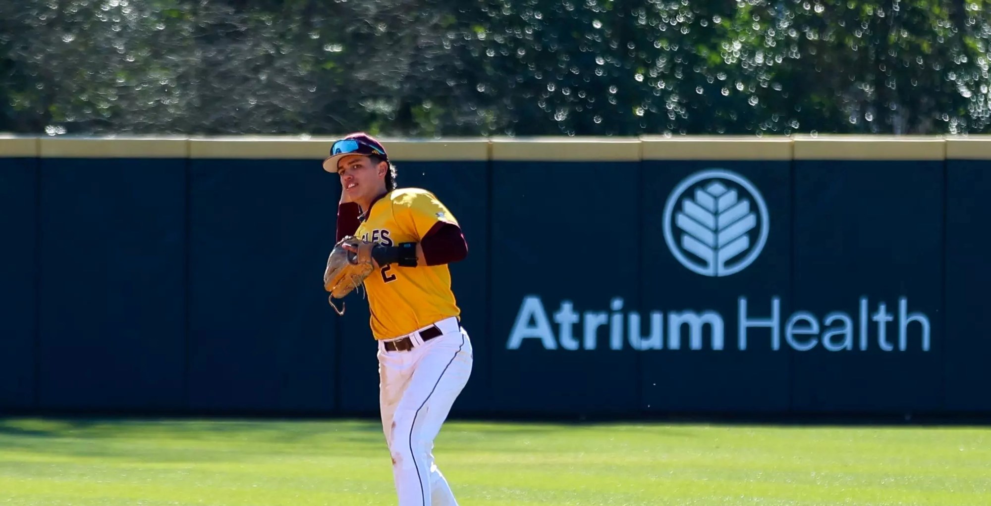 Big South Baseball Summary - April 17