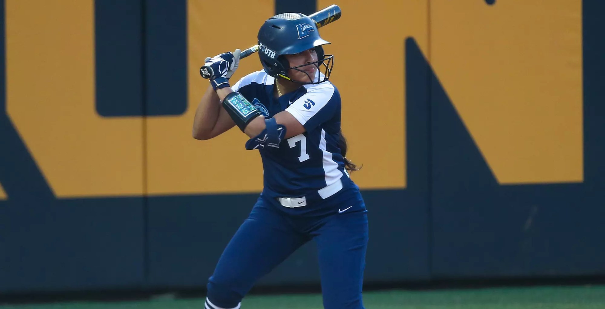 Big South Softball Summary - April 26