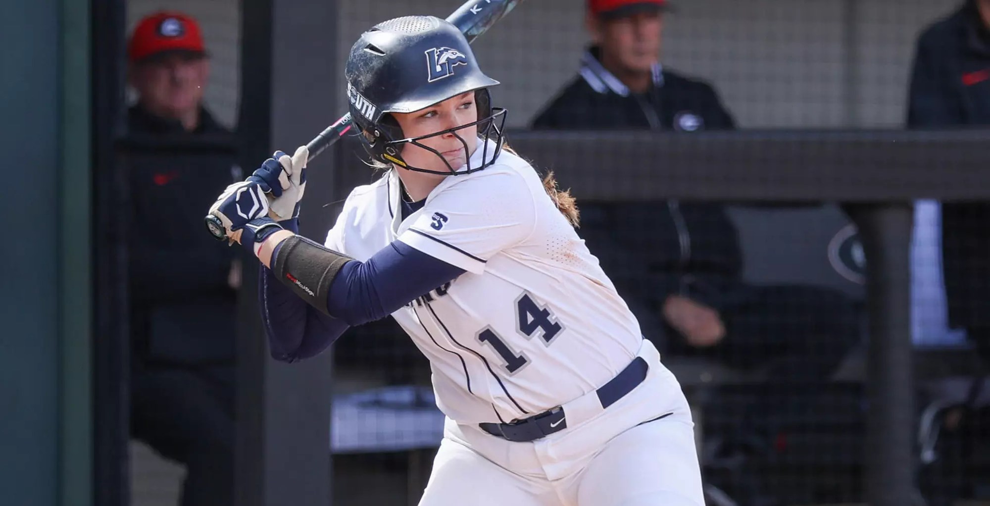 Big South Softball Summary - April 6